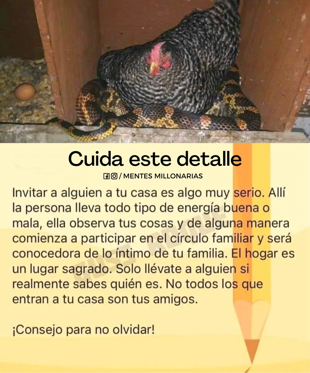 Invitar a alguien a tu casa es algo muy serio.