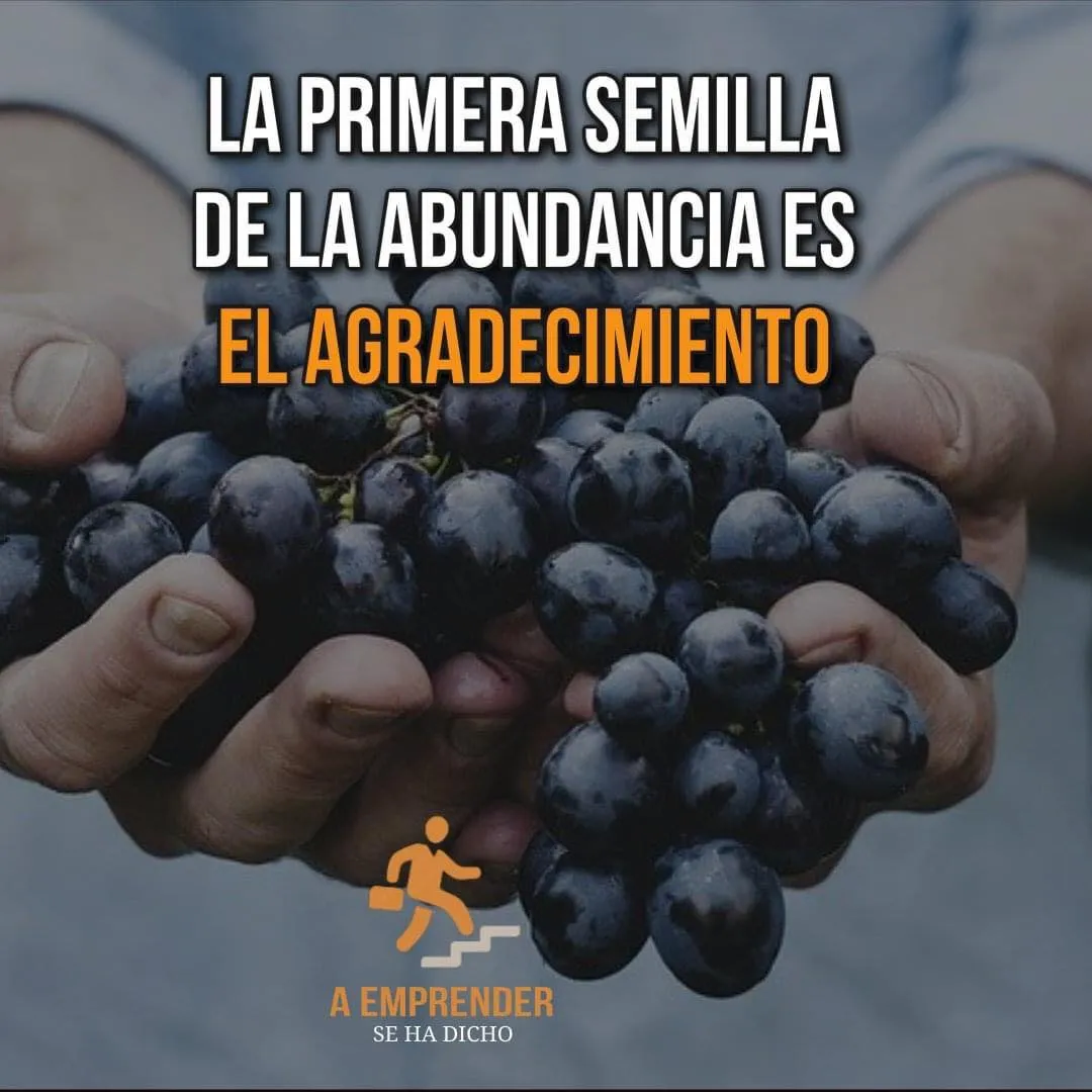 La primera semilla de la abundancia es el agradecimiento.