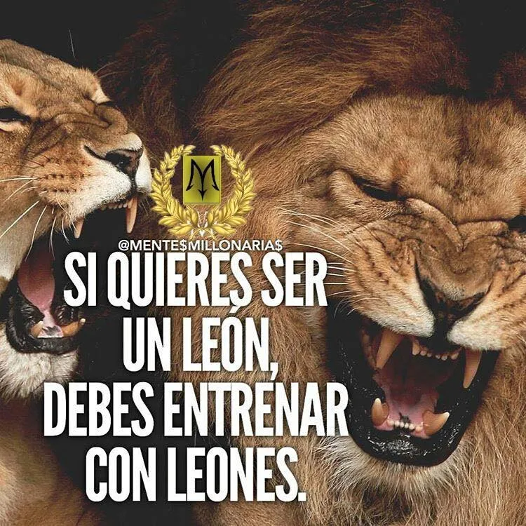Si quieres ser un león, debes entrenar con leones.