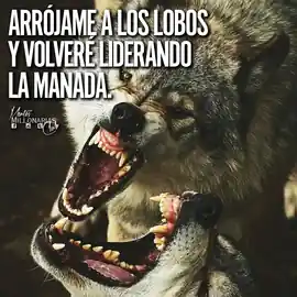 arrojame_a_los_lobos_y_volvere_liderando_la_manada