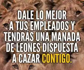 dale_lo_mejor_a_tus_empleados_y_tendras_una_manada_de_leones_dispuesta_a_cazar_contigo