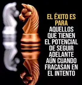 el_exito_es_para_aquellos_que_tienen_el_potencial_de_seguir_adelante_aun_cuando_fracasan_en_el_intento