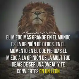 el_miedo_mas_grande_en_el_mundo_es_la_opinion_de_otros_en_el_momento_en_el_que_pierdas_el_miedo_a_la_opinion_de_la_multitud_dejaras_de_ser_una_oveja_y_te_conviertes_en_un_leon