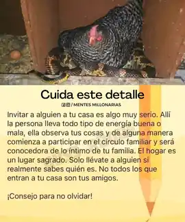 invitar_a_alguien_a_tu_casa_es_algo_muy_serio