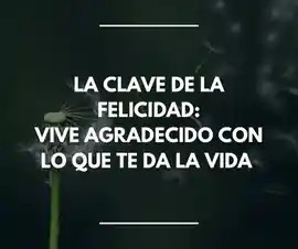 la_clave_de_la_felicidad_vive_agradecido_con_lo_que_te_da_la_vida