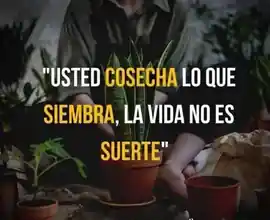 usted_cosecha_lo_que_siembra_la_vida_no_es_suerte