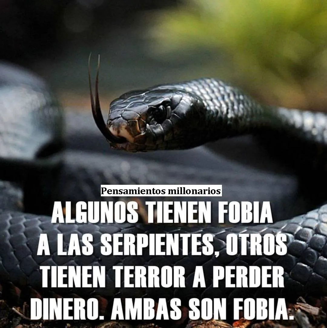 Algunos tienen fobia a las serpientes.