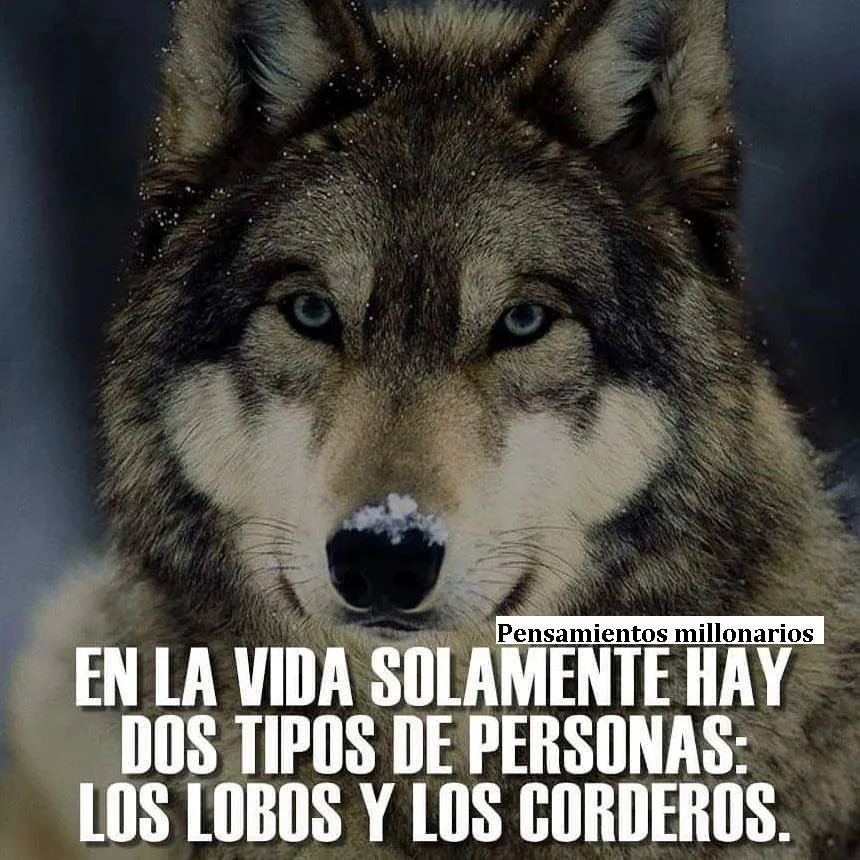 En la vida solamente hay dos tipos de personas