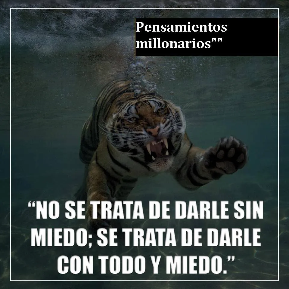 No se trata de darle sin miedo se trata de darle con todo y miedo.