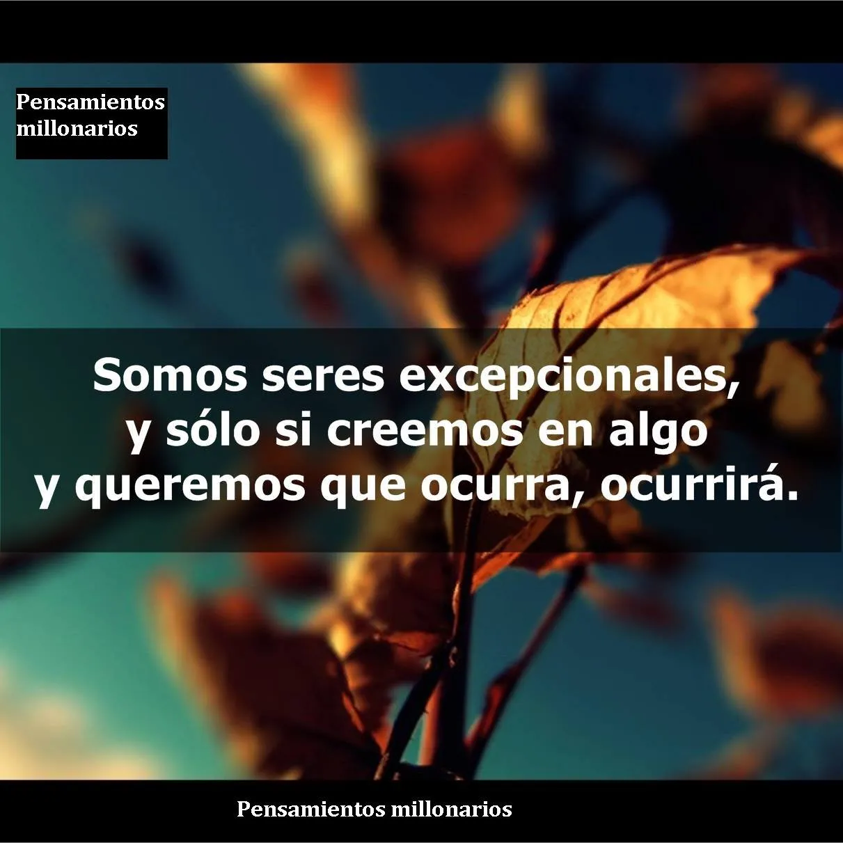 Somos seres excepcionales,