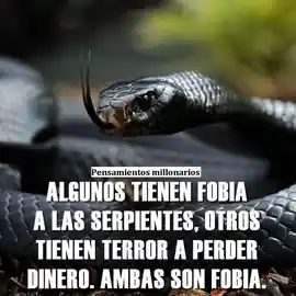 algunos_tienen_fobia_a_las_serpientes_otros_tienen_terror_a_perder_dinero_ambas_son_fobia