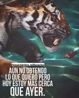aun_no_obtengo_lo_que_quiero_pero_hoy_estoy_mas_cerca_que_ayer