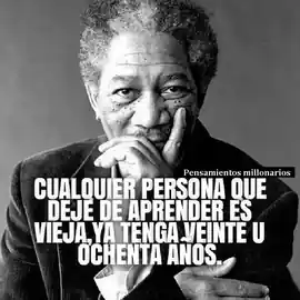cualquier_persona_que_deje_de_aprender_es_vieja_ya_tenga_veinte_u_ochenta_anos