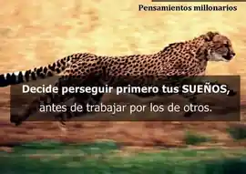 decide_perseguir_primero_tus_suenos_antes_de_trabajar_por_los_de_otros