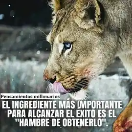el_ingrediente_mas_importante_para_alcanzar_el_exito_es_el_hambre_de_obtenerlo