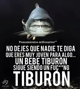 no_dejes_que_nadie_te_diga_que_eres_muy_joven_para_algo_un_tiburon_sigue_siendo_tiburon