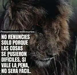 no_renuncies_solo_porque_las_cosas_se_pusieron_dificiles_si_vale_la_pena_no_sera_facil