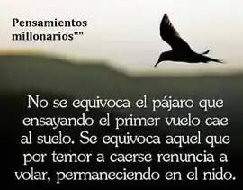 no_se_equivoca_el_pajaro_que_ensayando_el_primer_vuelo_cae_al_suelo_se_equivoca_aquel_que_por_temor_a_caerse_renuncia_a_volar_permaneciendo_en_el_nido