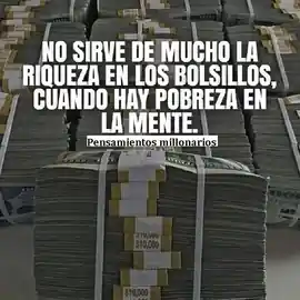 no_sirve_de_mucho_la_riqueza_en_los_bolsillos_cuando_hay_pobreza_en_la_mente