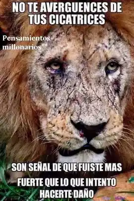 no_te_averguences_de_tus_cicatrices_son_senal_de_que_fuiste_mas_fuerte_que_lo_que_intento_hacerte_dano