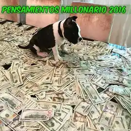 pensamientos_millonario_2016