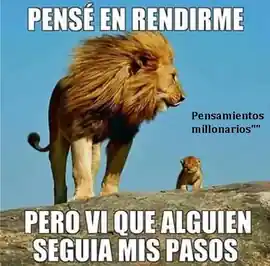 pense_en_rendirme_pero_vi_que_alguien_seguia_mis_pasos