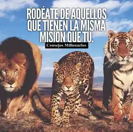 rodeate_de_aquellos_que_tienen_la_misma_mision_que_tu