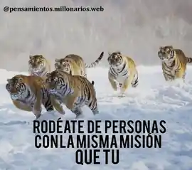 rodeate_de_personas_con_la_misma_mision_que_tu