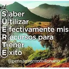 saber_utilizar_efectivamente_mis_recursos_para_tener_exito