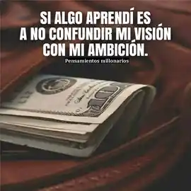 si_algo_aprendi_es_a_no_confundir_mi_vision_con_mi_ambicion