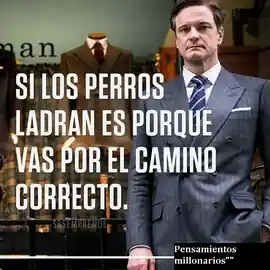 si_los_perros_ladran_es_porque_vas_por_el_camino_correcto
