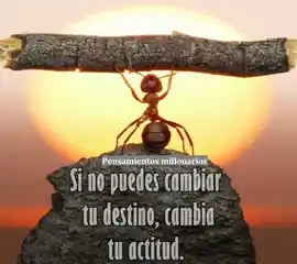 si_no_puedes_cambiar_tu_destino_cambia_tu_actitud