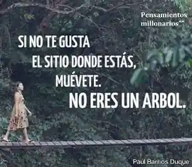 si_no_te_gusta_el_sitio_donde_estas_muevete_no_eres_un_arbol
