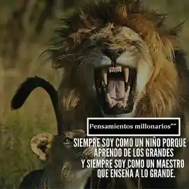 siempre_soy_como_un_nino_porque_aprendo_de_los_grandes_y_siempre_soy_como_un_maestro_que_ensena_a_lo_grande