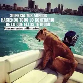 silencia_tus_miedos_haciendo_todo_lo_contrario_de_lo_que_ellos_te_digan