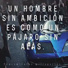 un_hombre_sin_ambicion_es_como_un_pajaro_sin_alas