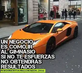 un_negocio_es_como_ir_al_gimnasio_si_no_te_esfuerzas_no_obtendras_resultados