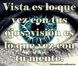 vista_es_lo_que_vez_con_tus_ojos_vision_es_lo_que_vez_con_tu_mente