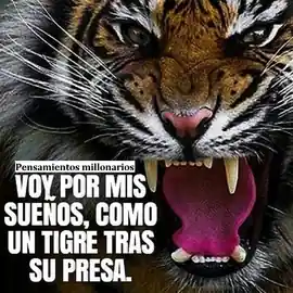 voy_por_mis_suenos_como_un_tigre_tras_su_presa