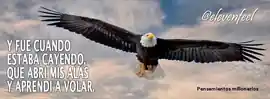 y_fue_cuando_estaba_cayendo_que_abri_mis_alas_y_aprendi_a_volar