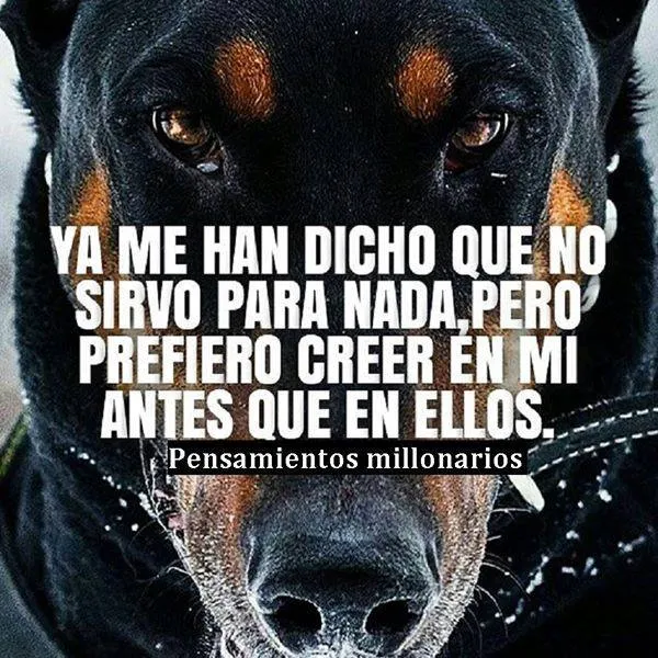 Ya me han dicho que no sirvo para nada.