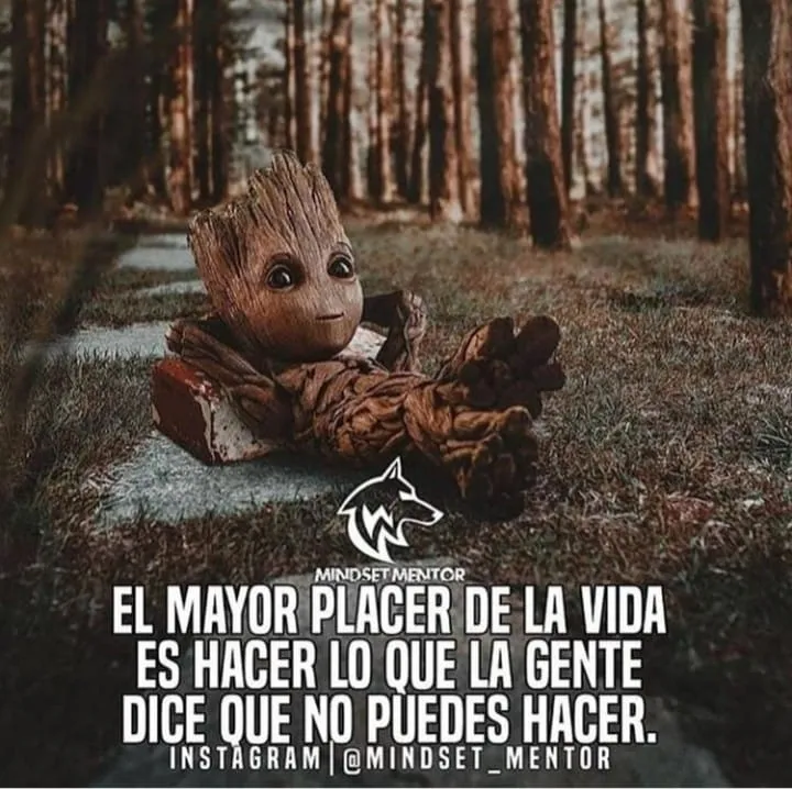 El mayor placer de la vida es hacer lo que la gente dice que no puedes hacer.