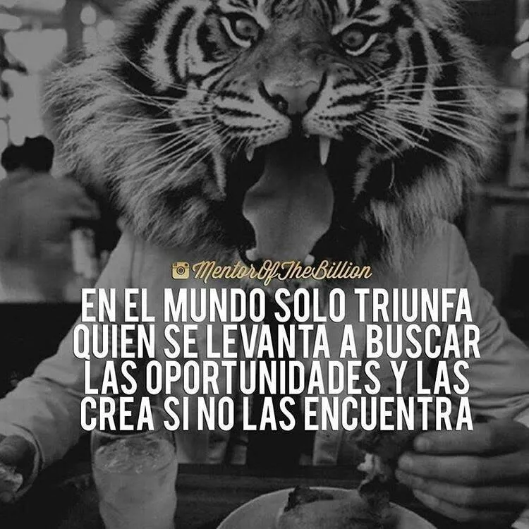 En el mundo solo triunfa quien se levanta a buscar las oportunidades.