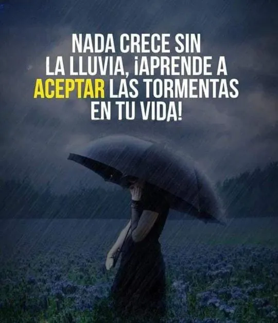 The first sentence is nothing grows without rain.