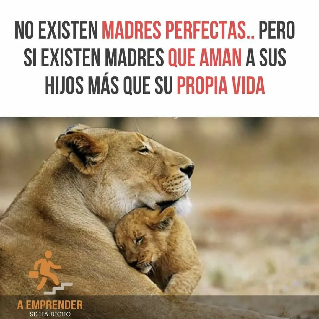 No existen madres perfectas.