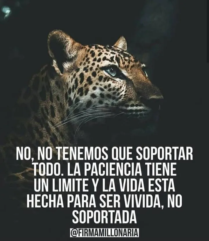No tenemos que soportar todo, la paciencia tiene un límite.