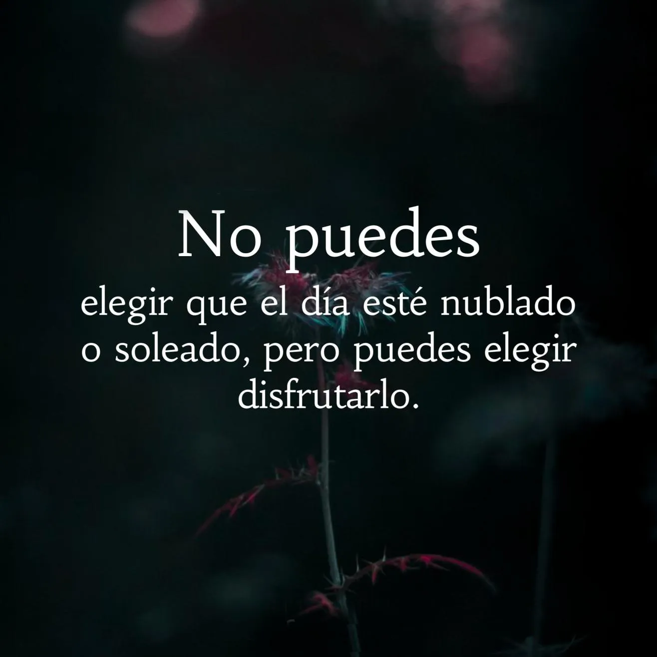 No puedes elegir que el día esté nublado.