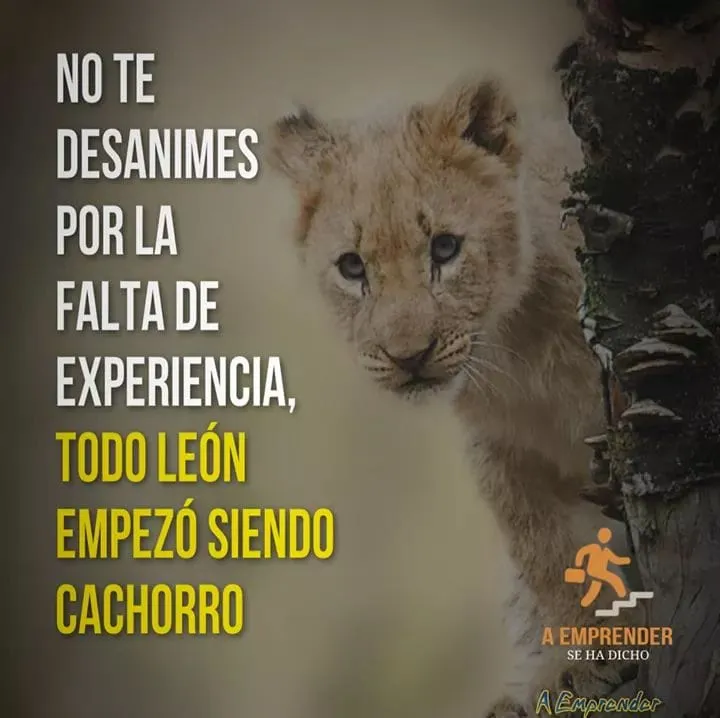 No te desanimes por la falta de experiencia.