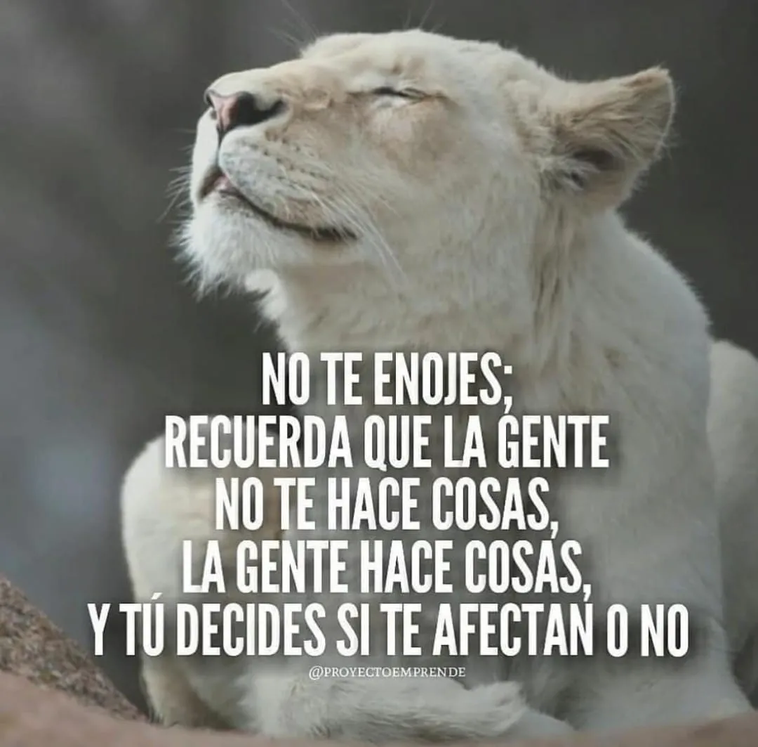 Recuerda que la gente no te hace cosas, la gente hace cosas y tú decides si te afectan o no.