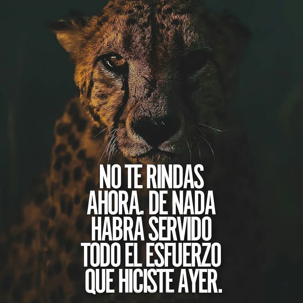 No te rindas ahora, de nada habrá servido todo el esfuerzo que hiciste ayer.